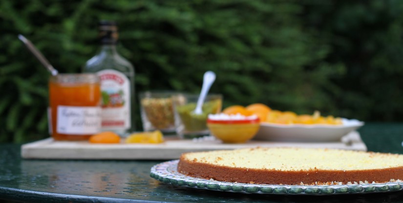 gateau moelleux à l'abricot et pistache