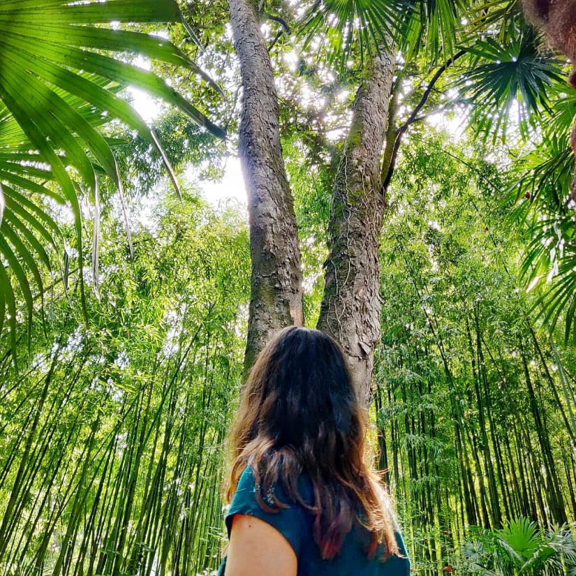 la bambouseraie des cevennes